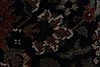 Herati Black Round Hand Knotted 60 X 60 Area Rug 250-23683 Thumb 5