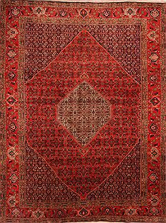 Bidjar Red Hand Knotted 9'9" X 13'0"  Area Rug 100-23688