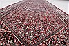 Bidjar Red Runner Hand Knotted 28 X 910  Area Rug 250-23715 Thumb 2
