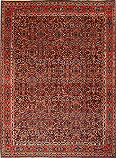 Persian Birjand Red Rectangle 10x13 ft Wool Carpet 23775