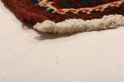 Bakhtiar Orange Hand Knotted 102 X 1111 Area Rug 100-23910 Image 9