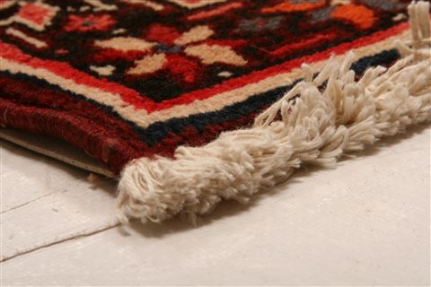 Bakhtiar Red Hand Knotted 105 X 1211 Area Rug 100-23933 Image 9