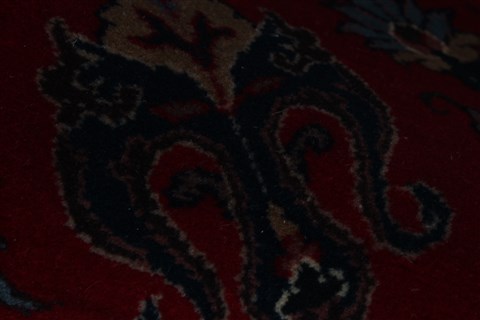 Semnan Red Hand Knotted 311 X 710 Area Rug 250-23981 Image 7
