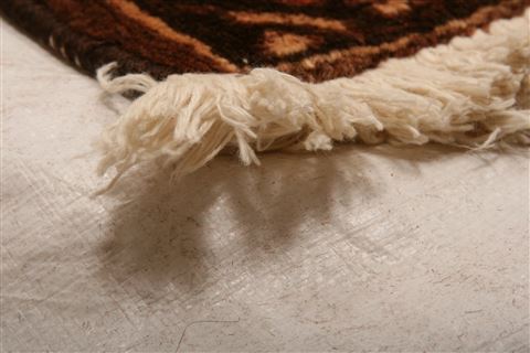 Bakhtiar Brown Hand Knotted 106 X 136 Area Rug 253-23985 Image 1