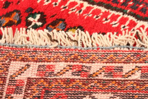 Shiraz Red Hand Knotted 27 X 37  Area Rug 253-24133 Image 8