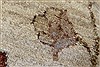 Chobi Beige Hand Knotted 120 X 147 Area Rug 250-24232 Thumb 8