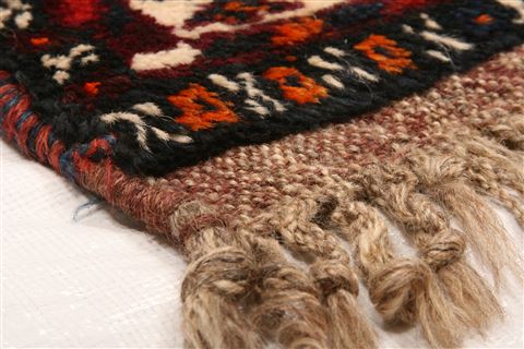 Shiraz Red Hand Knotted 37 X 55  Area Rug 253-24273 Image 1