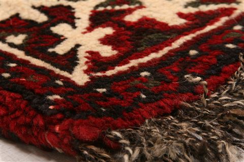 Shiraz Red Hand Knotted 41 X 55  Area Rug 253-24291 Image 8