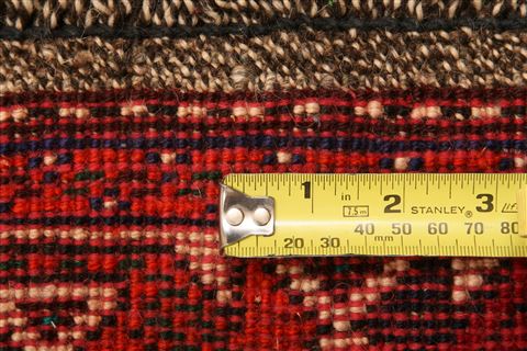 Shiraz Red Hand Knotted 36 X 53  Area Rug 253-24297 Image 6