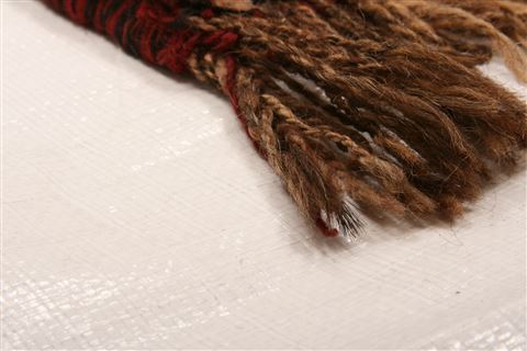 Shiraz Red Hand Knotted 39 X 55  Area Rug 253-24314 Image 1