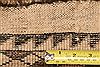 Gabbeh Beige Hand Knotted 43 X 82  Area Rug 100-24366 Thumb 5