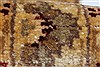 Pishavar Brown Runner Hand Knotted 27 X 82 Area Rug 250-24420 Thumb 11