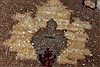 Pishavar Brown Runner Hand Knotted 27 X 82 Area Rug 250-24420 Thumb 8