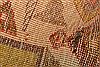 Gabbeh Multicolor Hand Knotted 34 X 58 Area Rug 100-24558 Thumb 1