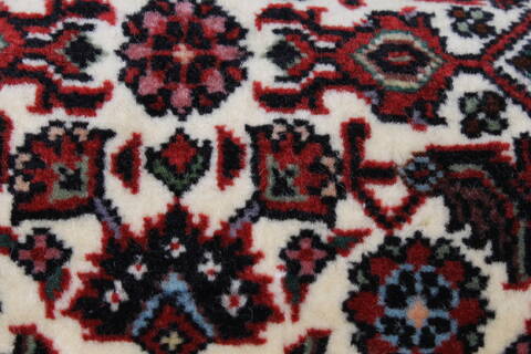 Bidjar Beige Runner Hand Knotted 26 X 68  Area Rug 250-24574 Image 9