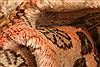 Qashqai Red Hand Knotted 57 X 82 Area Rug 100-24576 Thumb 1