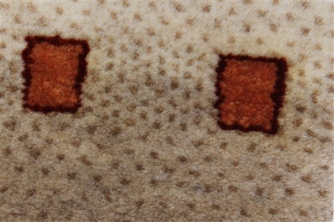 Gabbeh Beige Runner Hand Knotted 27 X 711 Area Rug 250-24592 Image 8