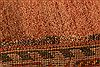 Gabbeh Red Hand Knotted 49 X 71 Area Rug 100-24644 Thumb 8