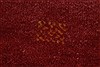 Gabbeh Red Runner Hand Knotted 28 X 79 Area Rug 250-24646 Thumb 7