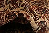 Qashqai Beige Hand Knotted 35 X 411 Area Rug 100-24694 Thumb 2