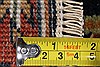 Karajeh Brown Runner Hand Knotted 21 X 100 Area Rug 250-25098 Thumb 9