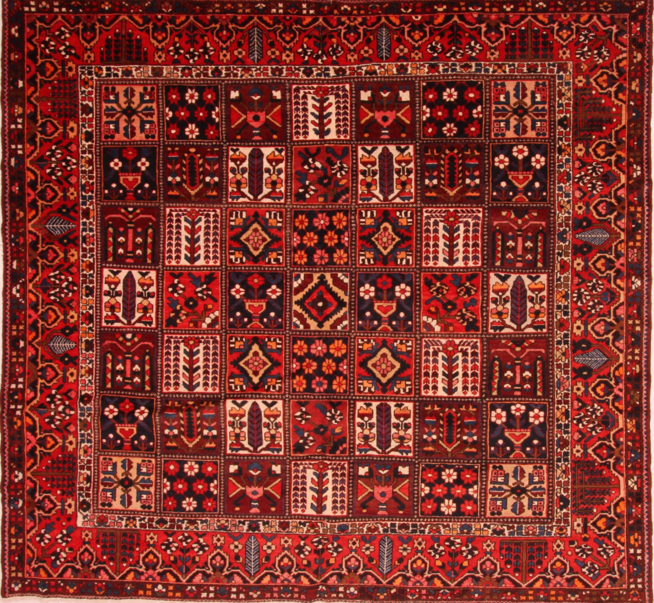 Bakhtiar Red Square Hand Knotted 10 3 X 11 1 Area Rug 100 25169