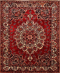Bakhtiar Red Hand Knotted 9'11" X 12'2"  Area Rug 100-25202