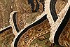 Kashan Multicolor Hand Knotted 101 X 1310 Area Rug 100-25309 Thumb 4