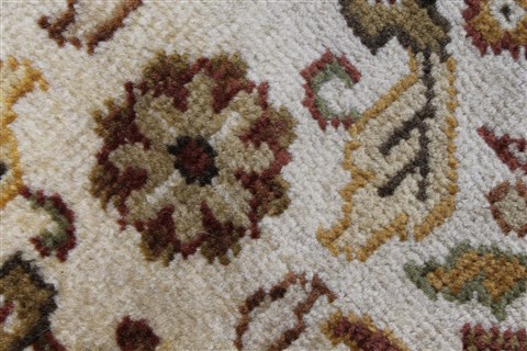 Indo-Persian Beige Hand Knotted 811 X 111 Area Rug 250-25668 Image 7