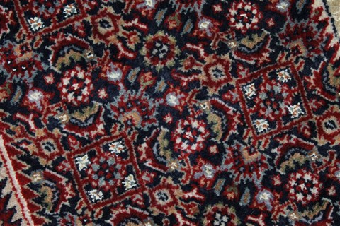 Bidjar Beige Hand Knotted 84 X 1110 Area Rug 250-25689 Image 5