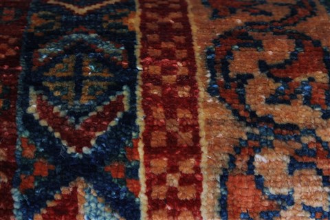 Pishavar Multicolor Hand Knotted 27 X 66 Area Rug 250-26103 Image 5