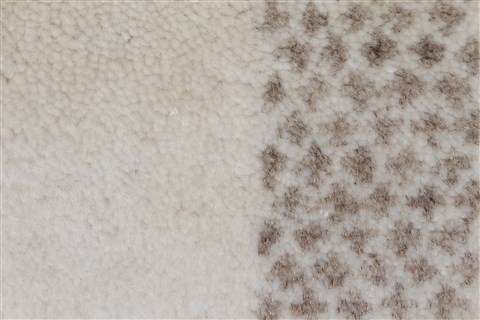 Gabbeh Grey Runner Hand Knotted 26 X 60 Area Rug 250-26169 Image 9