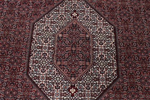 Bidjar Red Hand Knotted 711 X 115 Area Rug 250-26186 Image 6