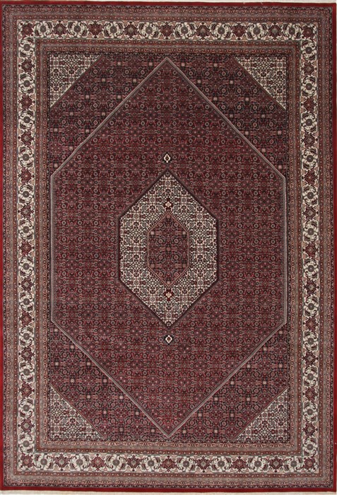Bidjar Red Hand Knotted 711 X 115 Area Rug 250-26186 Image 0