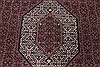 Bidjar Red Hand Knotted 711 X 115 Area Rug 250-26186 Thumb 6