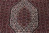 Bidjar Red Hand Knotted 711 X 115  Area Rug 250-26186 Thumb 6