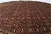 Herati Green Round Hand Knotted 80 X 80 Area Rug 250-26256 Thumb 2