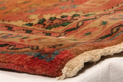 Hamedan Orange Hand Knotted 22 X 31 Area Rug 253-26260 Image 14