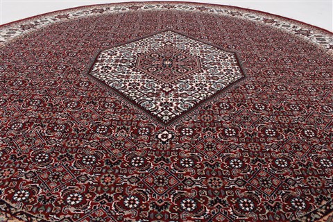 Bidjar Beige Round Hand Knotted 67 X 67 Area Rug 250-26270 Image 2