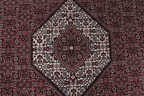 Bidjar Beige Round Hand Knotted 67 X 67 Area Rug 250-26270 Image 4