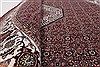 Bidjar Beige Round Hand Knotted 67 X 67 Area Rug 250-26270 Thumb 9