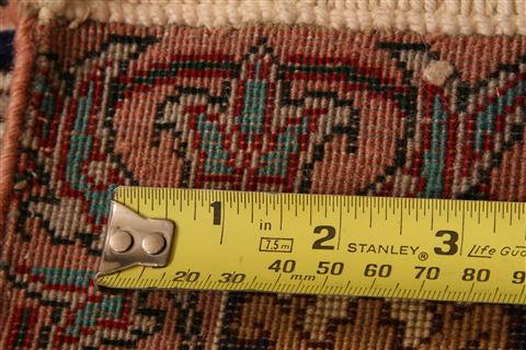 Tabriz Multicolor Hand Knotted 19 X 28 Area Rug 253-26287 Image 5