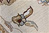 Ziegler Beige Round Hand Knotted 80 X 81 Area Rug 250-26293 Thumb 8