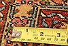 Sanandaj Green Hand Knotted 110 X 29  Area Rug 253-26294 Thumb 3