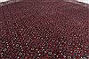 Bidjar Green Round Hand Knotted 85 X 85 Area Rug 250-26358 Thumb 2