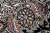 Mahi Beige Round Hand Knotted 85 X 85 Area Rug 250-26392 Thumb 6