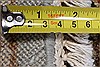 Chobi Beige Round Hand Knotted 78 X 80 Area Rug 250-26399 Thumb 3