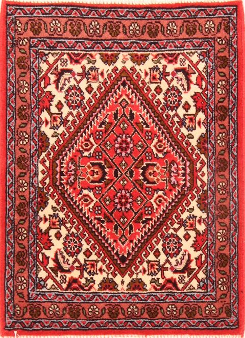 Bidjar Red Hand Knotted 15 X 20 Area Rug 253-26413 Image 0