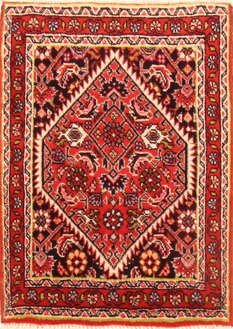 Bidjar Red Hand Knotted 15 X 20 Area Rug 253-26414 Image 0