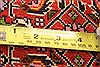 Bidjar Red Hand Knotted 15 X 20 Area Rug 253-26415 Thumb 4